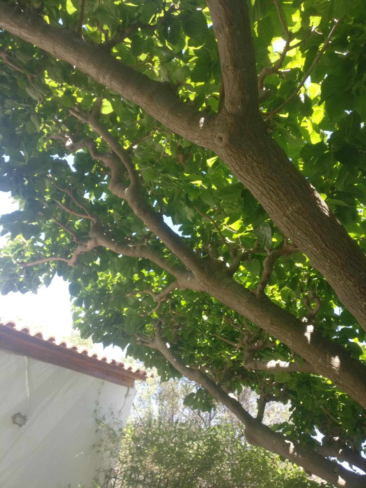 Yfantis Sakis Apartment'S Eratiní Ngoại thất bức ảnh