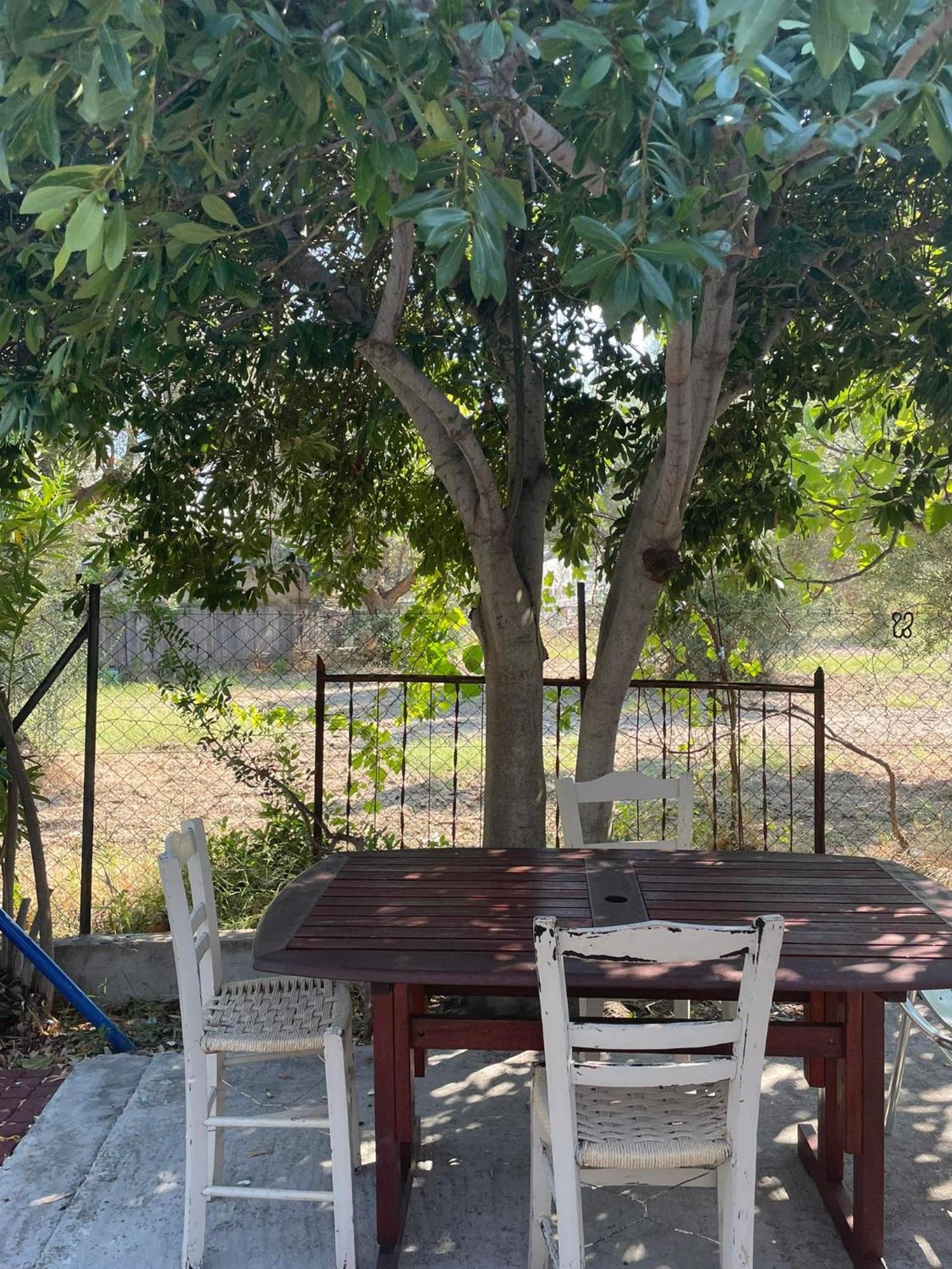Yfantis Sakis Apartment'S Eratiní Ngoại thất bức ảnh