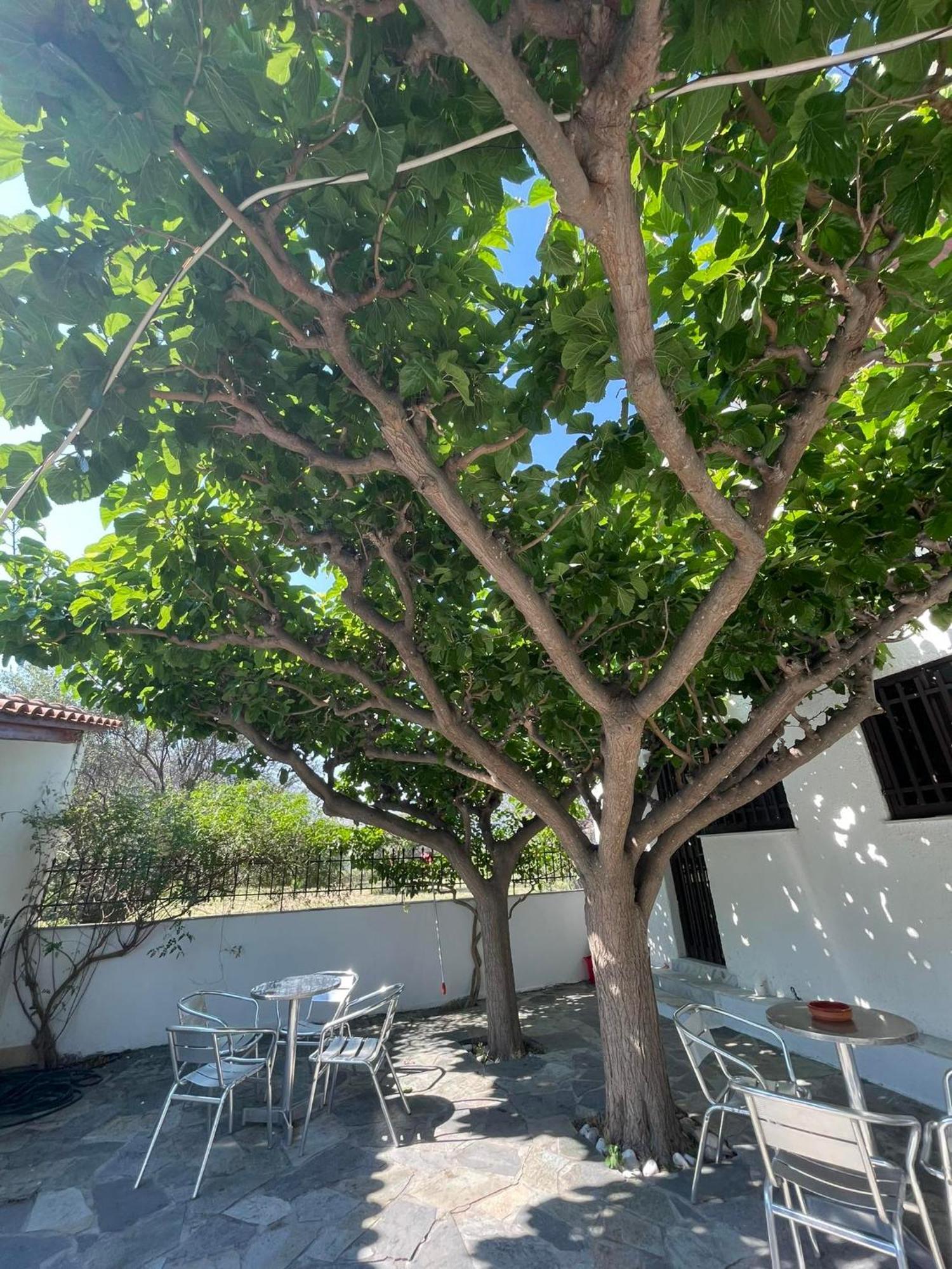 Yfantis Sakis Apartment'S Eratiní Ngoại thất bức ảnh